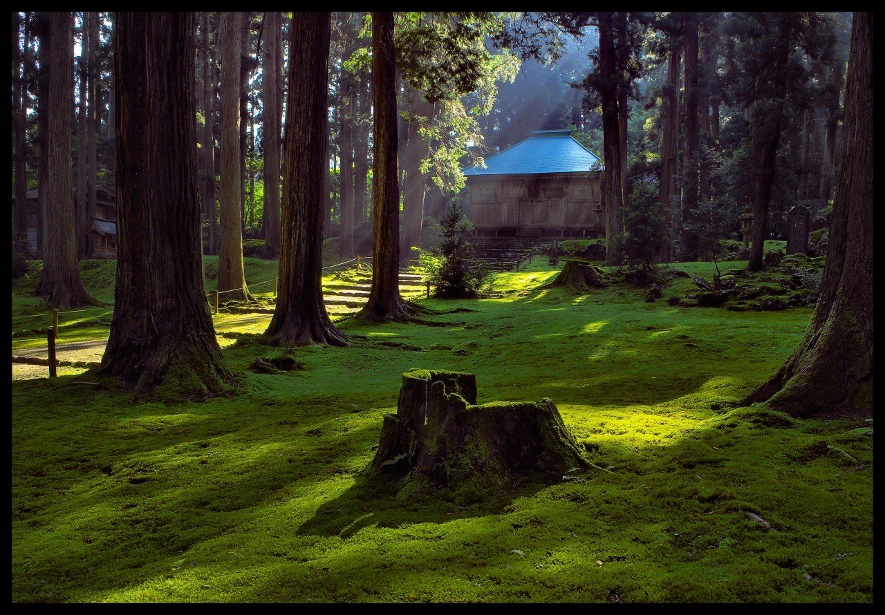 ⛩️ 헤이센지 백산 신사(헤이센지 하쿠산 진자) 이미지 1